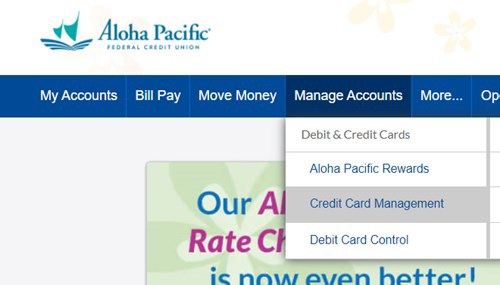 Credit Card Management